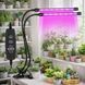 Светодиодный фитосветильник Green House Фитолампа для домашних растений светодиодная гибкая LED Ультрафиолетовая лампа | HappyShop 2382 фото 1