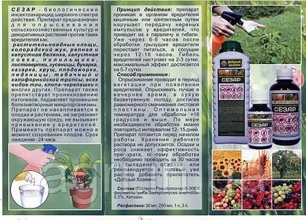 СЕЗАР Біологічний інсектоакарицид від шкідників 5 л Біоінсектицид Сезар інсектоакарицид | HappyShop 2482 фото