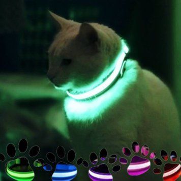 Світний LED-комір для собак світлодіодний нашийник для тварин на акумуляторі USB GLOW RING | HappyShop 1799 фото