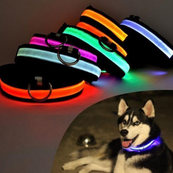 Світний LED-комір для собак світлодіодний нашийник для тварин на акумуляторі USB GLOW RING | HappyShop 1799 фото