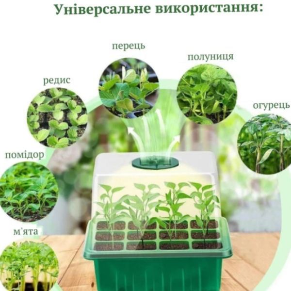 Набор для выращивания рассады с LED подсветкой на 5 лотков / Мини-тепличка / Стартовый набор для растений со светодиодной лампой | HappyShop 2401 фото