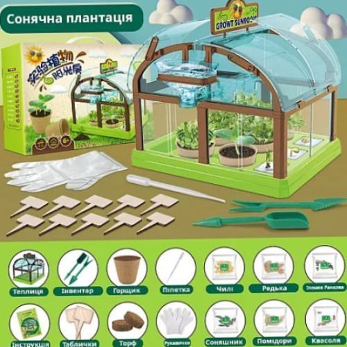 Набор для опытов домашняя теплица Home made plant Игровой набор теплица для выращивания растений с семенами | HappyShop 2139 фото