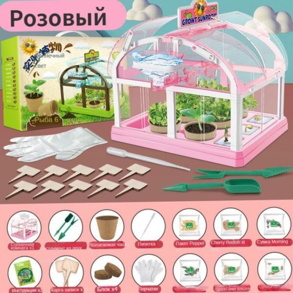 Набор для опытов домашняя теплица Home made plant Игровой набор теплица для выращивания растений с семенами | HappyShop 2139 фото
