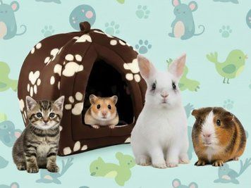 М'який флісовий будиночок для хатніх тварин Pet Hut Pethouse Будиночок Tent Будиночок-будка складаний флісовий | HappyShop 1456 фото