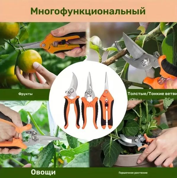 Набір інструментів Tolsen садових 3 шт Комплект секаторів і ножиць для саду гілкоріз, ножиці, секатор | HappyShop 2430 фото